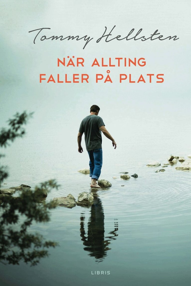 Tommy Hellsten - När allting faller på plats : en bok om att finna mening, Inbunden