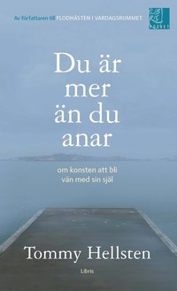 Du r mer n du anar : om konsten att bli vn med sin sjl