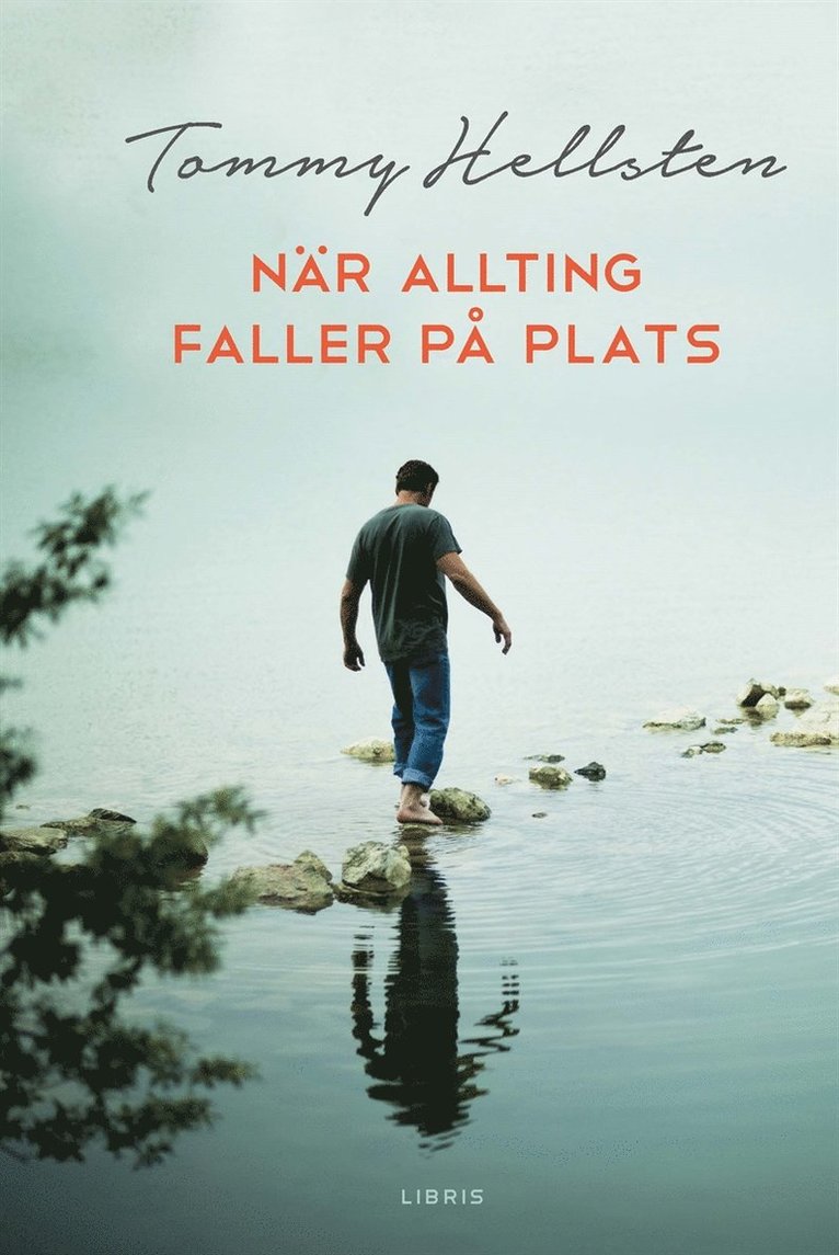 Tommy Hellsten - När allting faller på plats : en bok om att finna mening, E-bok
