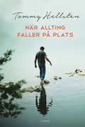 N�r allting faller p� plats : en bok om att finna mening