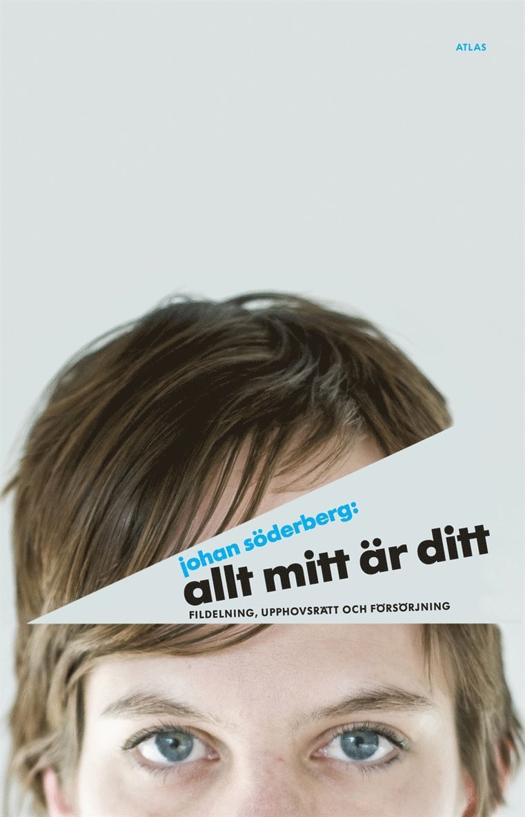 Johan Söderberg - Allt mitt är ditt : fildelning, upphovsrätt och försörjning, E-bok