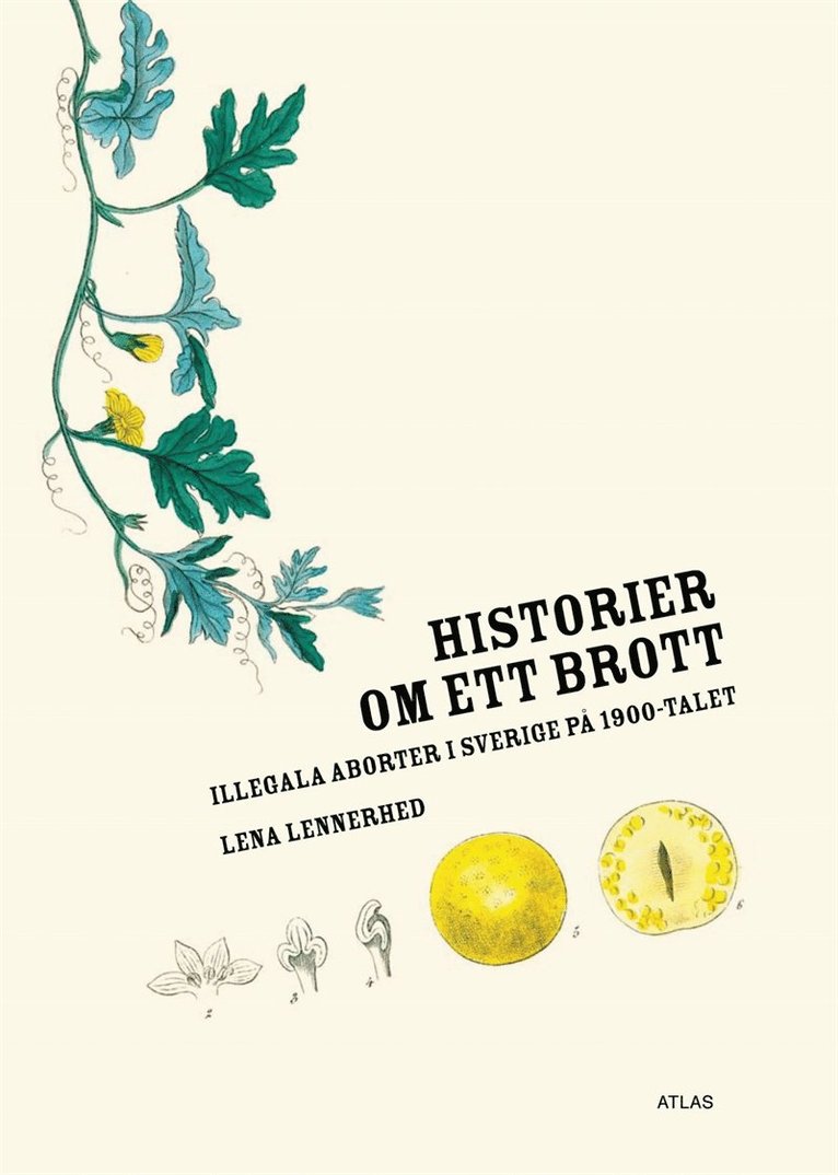 Lena Lennerhed - Historier om ett brott : illegala aborter i Sverige på 1900-talet, E-bok