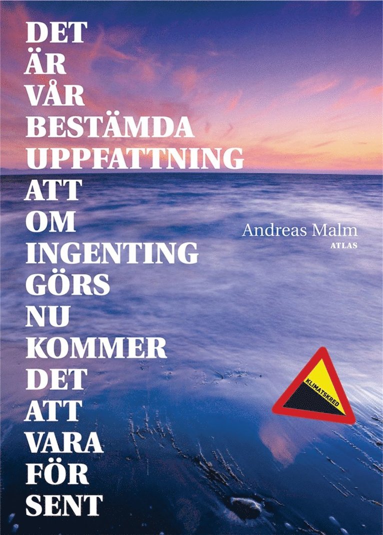 Malm Andreas - Det är vår bestämda uppfattning att om ingenting görs nu kommer det att vara för sent, E-bok