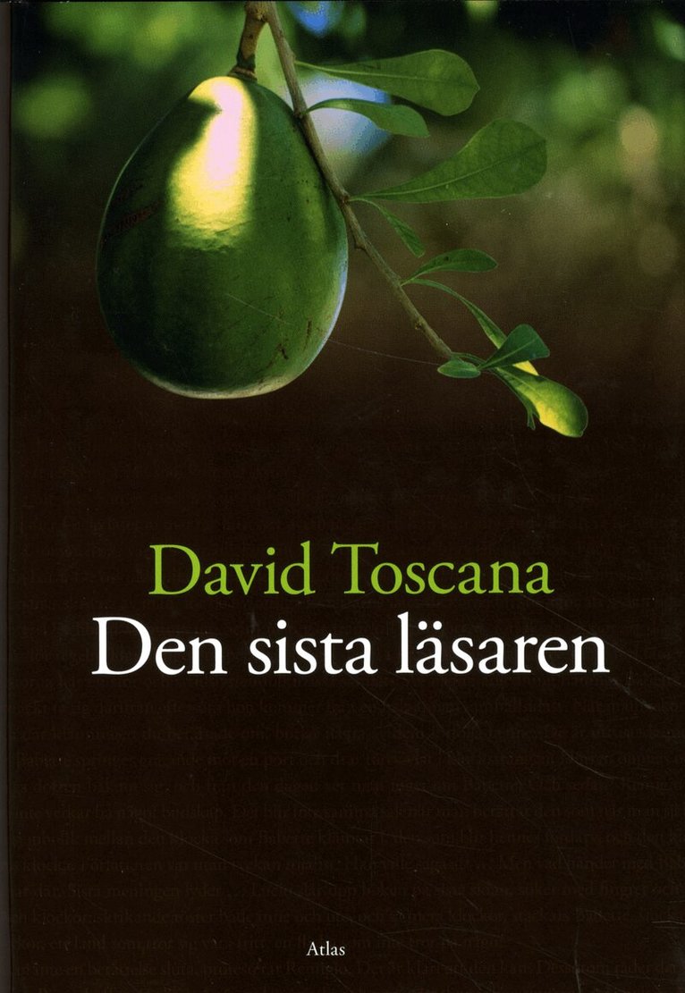 David Toscana - Den sista läsaren, Inbunden