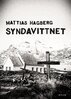 Mattias Hagberg - Syndavittnet, E-bok