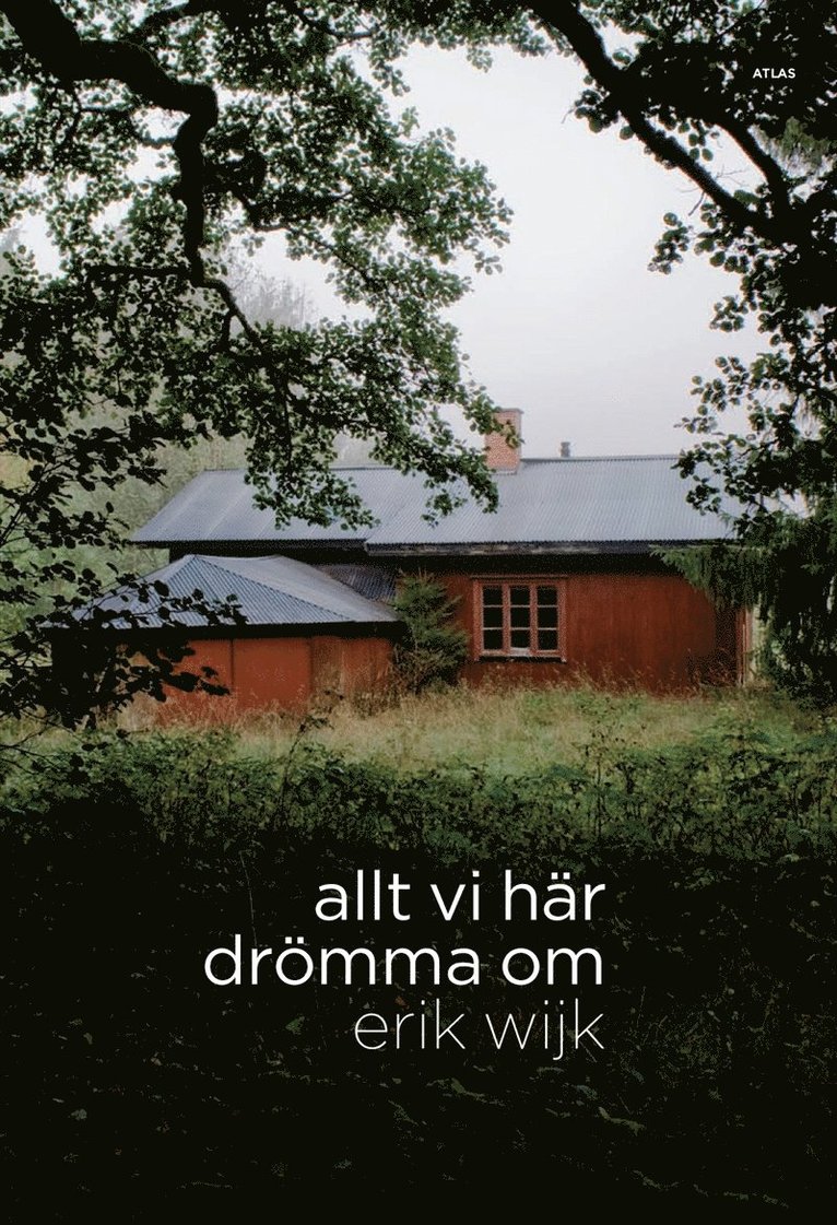 Erik Wijk - Allt vi här drömma om, E-bok
