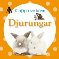 e-Bok Klappa och känn   djurungar