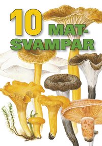 e-Bok 10 matsvampar