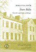 Sture Bolin : historiker under andra världskriget