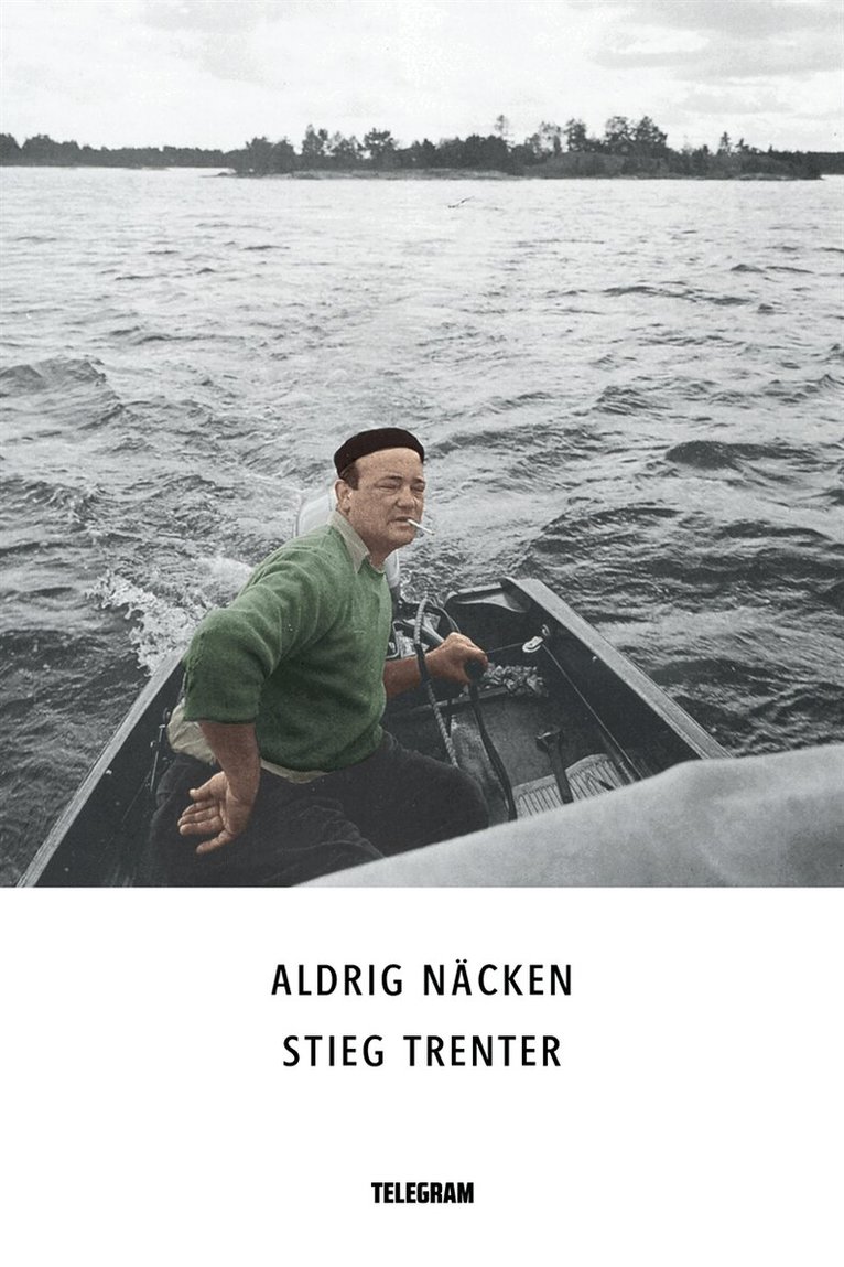 Stieg Trenter - Aldrig näcken, E-bok