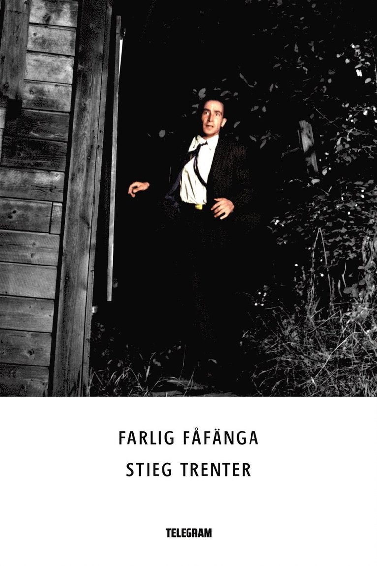 Stieg Trenter - Farlig fåfänga, E-bok