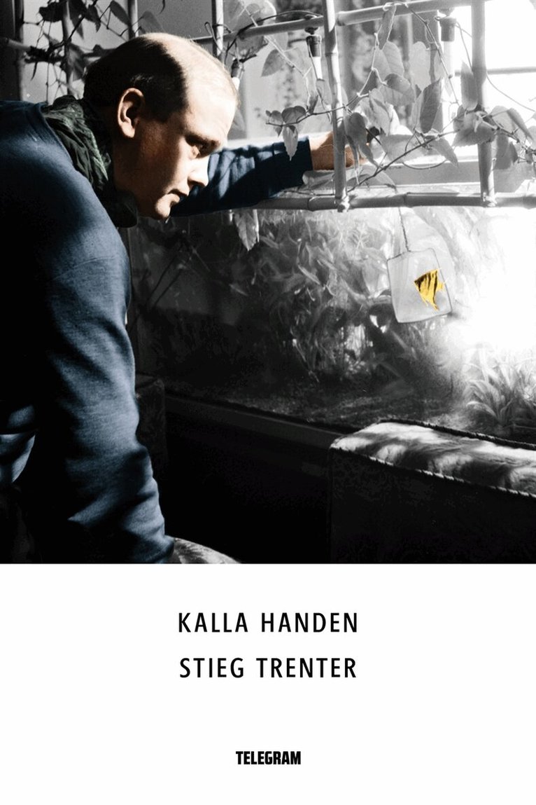 Stieg Trenter - Kalla handen, E-bok