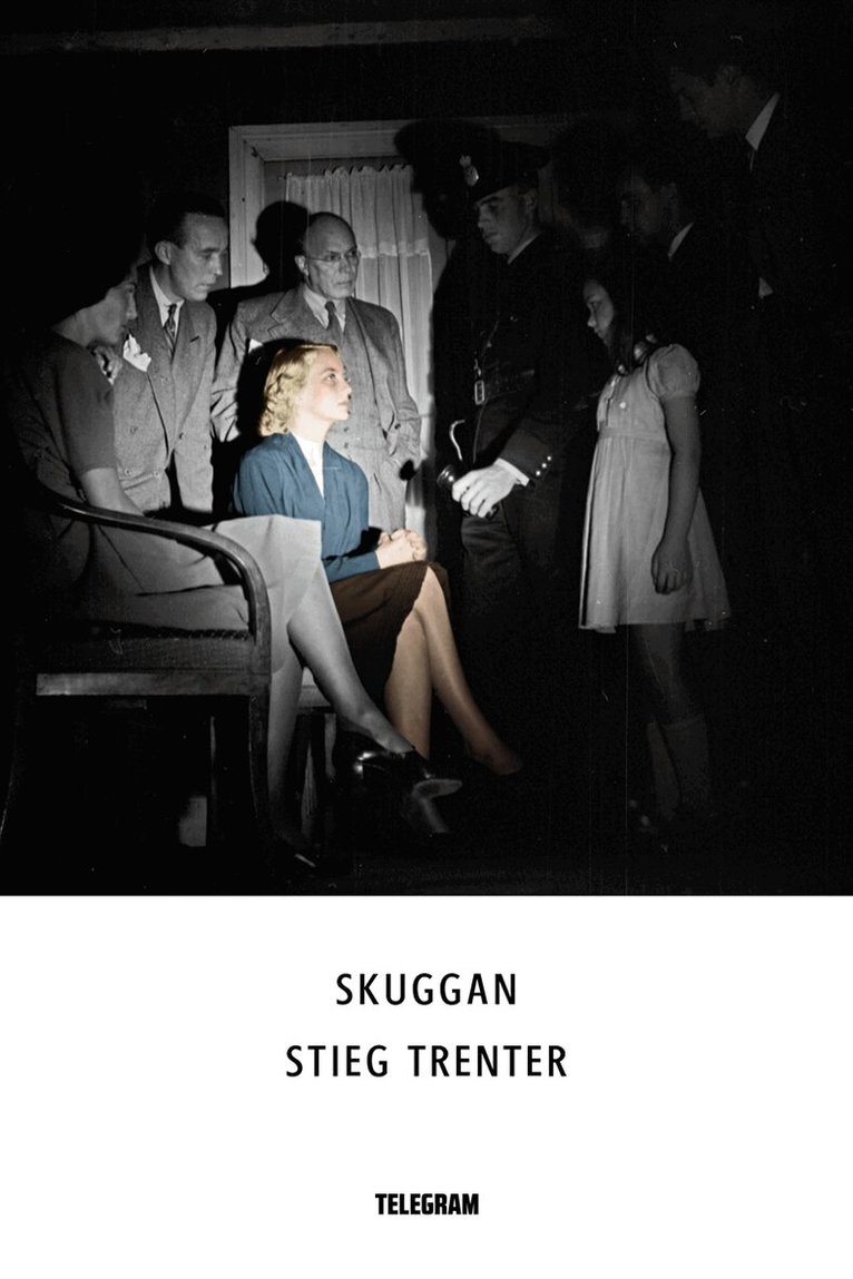 Stieg Trenter - Skuggan, E-bok