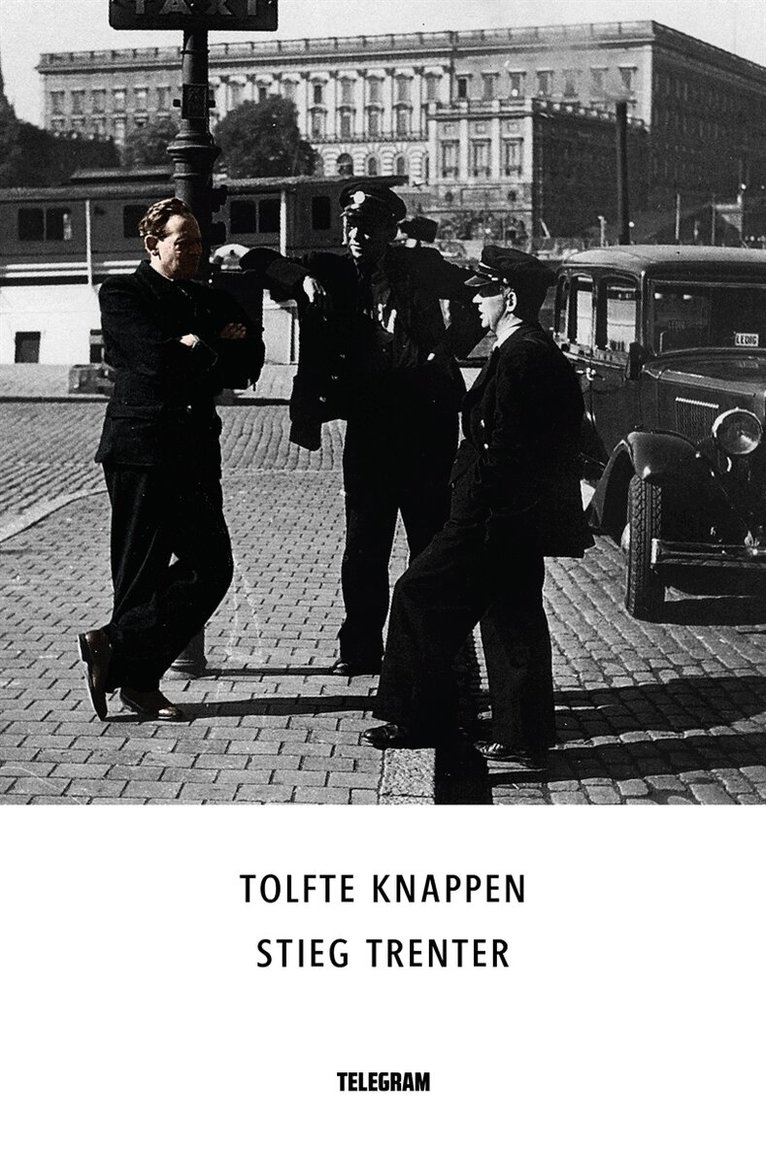 Stieg Trenter - Tolfte knappen, E-bok
