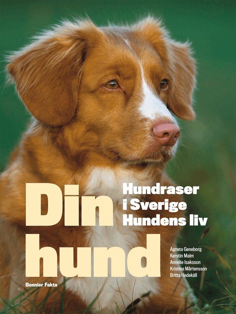 Agneta Geneborg, Kerstin Malm, Annelie Isaksson, Kristina Mårtensson, Britta Hedekäll - Din hund : hundraser i Sverige - hundens liv, Kartonnage