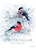 Vinterfåglar