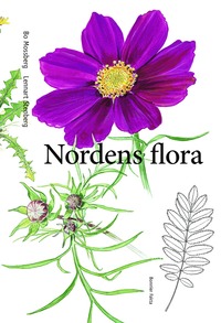 Nordens flora