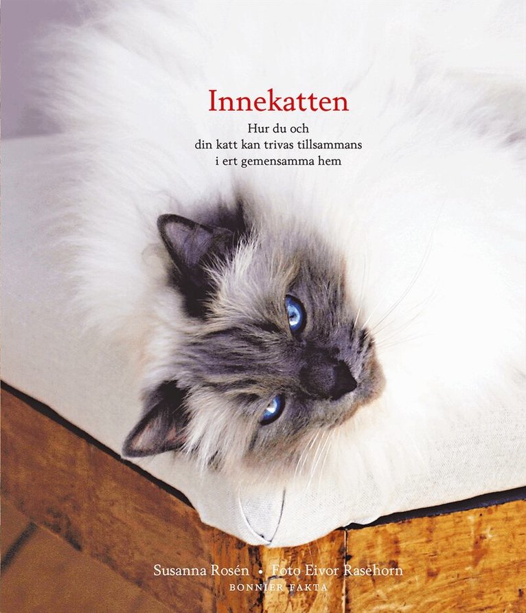 Susanna Rosén - Innekatten : hur du och din katt kan trivas tillsammans i ert gemensamma hem, Inbunden