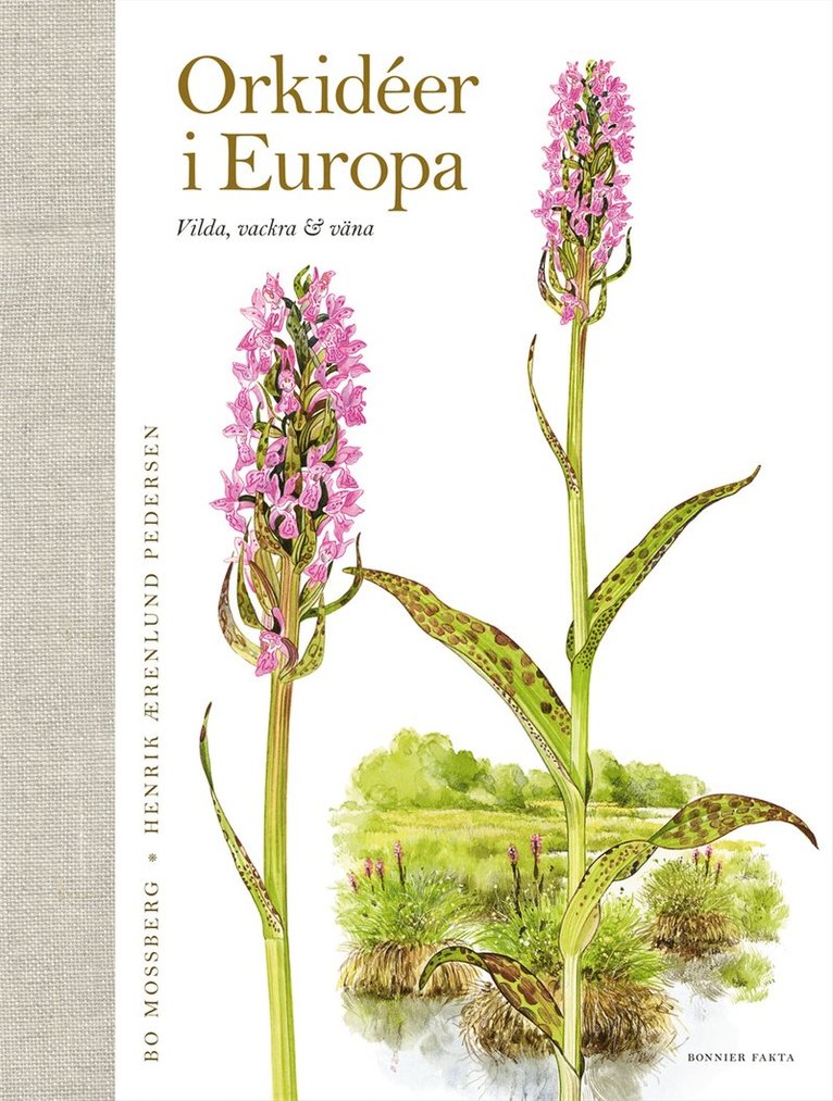 Bo Mossberg, Henrik Aerenlund Pedersen - Orkidéer i Europa : vilda, vackra & väna, E-bok