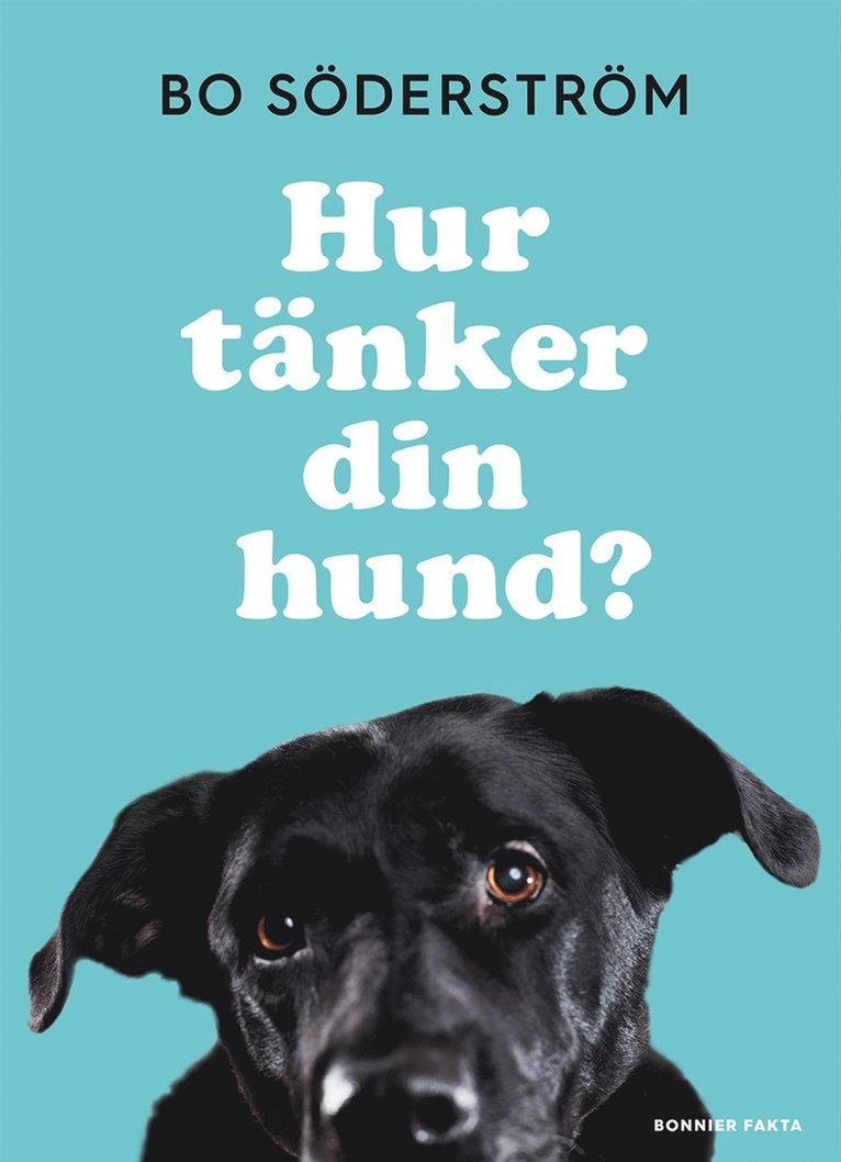Bo Söderström - Hur tänker din hund?, E-bok