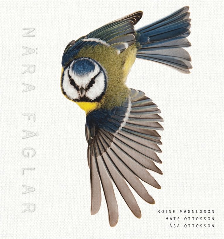 Roine Magnusson, Mats Ottosson, Åsa Ottosson - Nära fåglar, E-bok