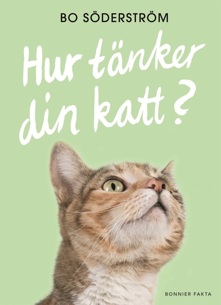 Bo Söderström - Hur tänker din katt?, E-bok