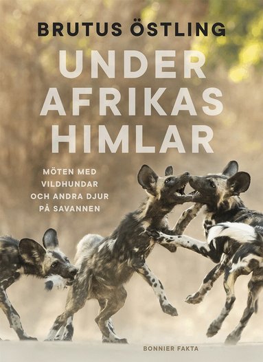 Brutus Östling - Under Afrikas himlar : Möten med vildhundar och andra djur på savanner, Inbunden
