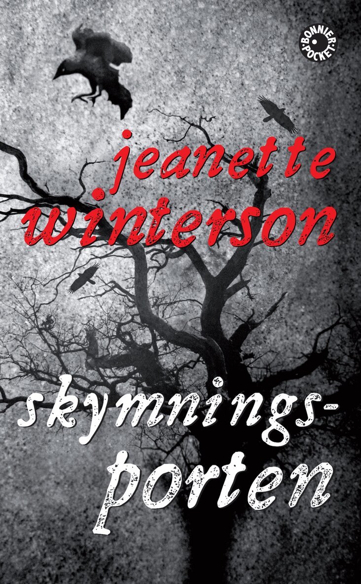 Jeanette Winterson - Skymningsporten, Pocket