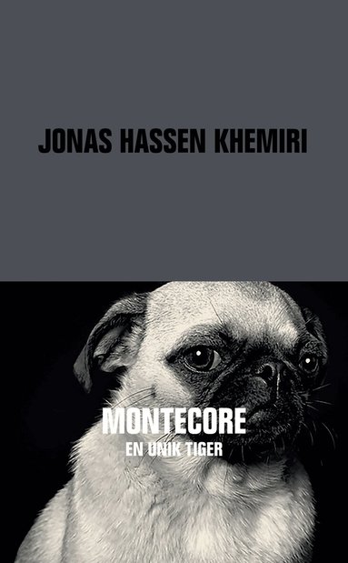 Jonas Hassen Khemiri - Montecore, Pocket