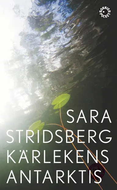 Sara Stridsberg - Kärlekens Antarktis, Pocket