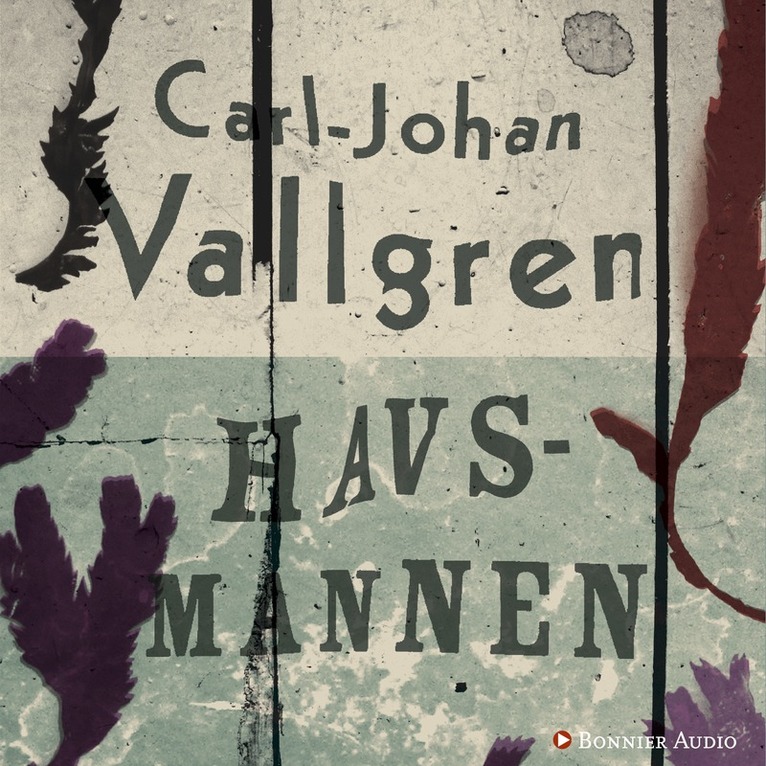 Carl-Johan Vallgren - Havsmannen, CD-bok