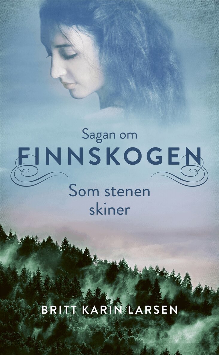 Britt Karin Larsen - Som stenen skiner, E-bok