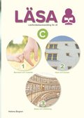 Läsa C 1-3 : läsförståelseutveckling för sfi