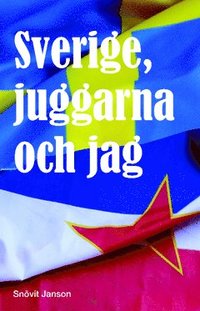 e-Bok Sverige, juggarna och jag