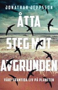Åtta steg mot avgrunden