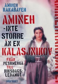 Amineh, inte strre n en kalasjnikov