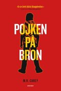 Pojken p bron