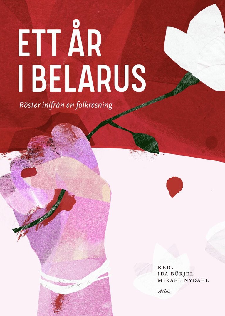 Ett år i Belarus : Röster inifrån en folklig resning, Häftad