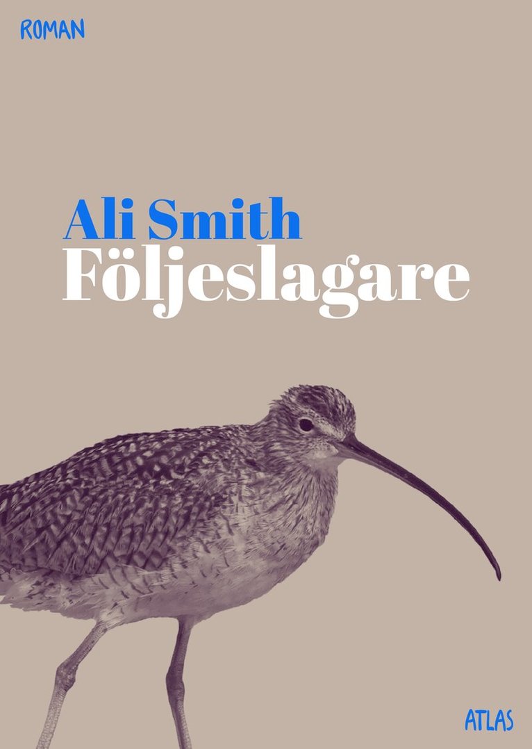 Ali Smith - Följeslagare, Kartonnage