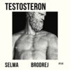 Selma Brodrej - Testosteron, E-bok