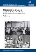 Utbildning på gränsen mellan skola och arbete : Pedagogisk förändring i svensk yrkesutbildning 1918-1971