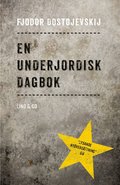 En underjordisk dagbok