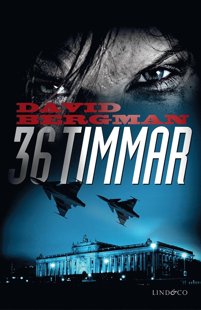 David Bergman - 36 timmar, E-bok
