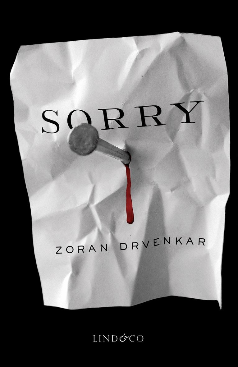 Zoran Drvenkar - Sorry, Inbunden