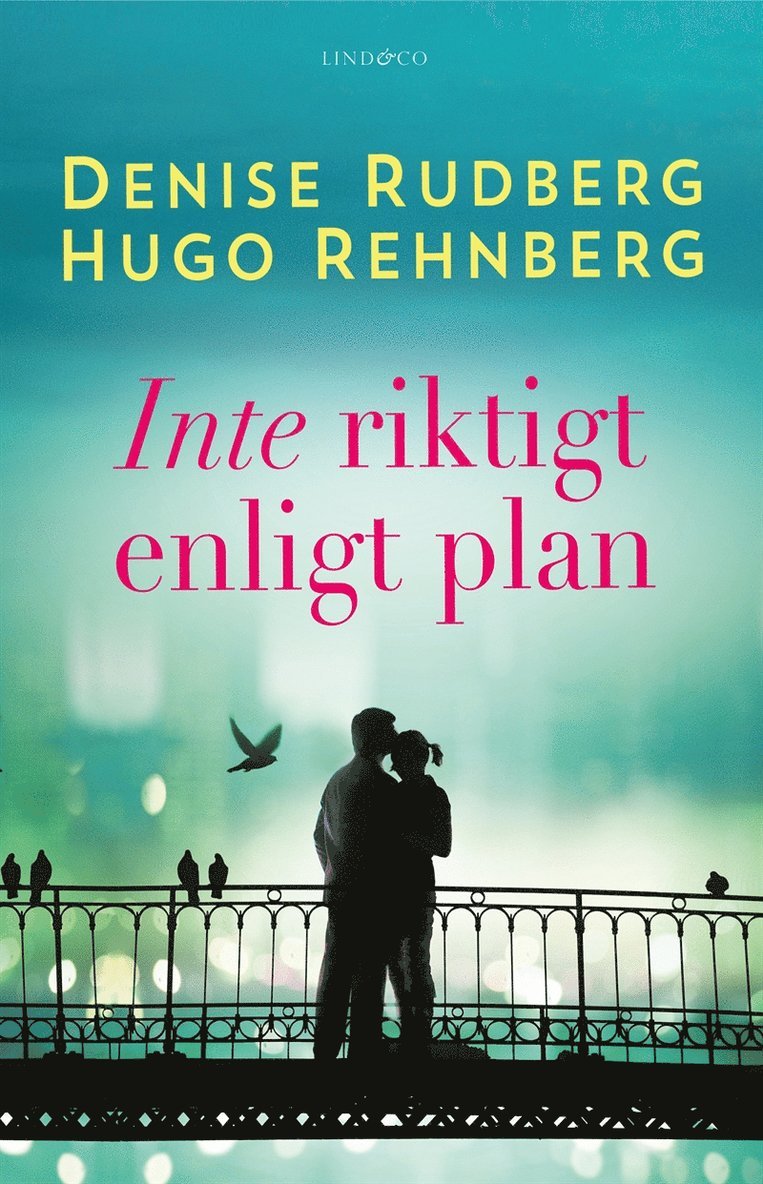 Denise Rudberg, Hugo Rehnberg - Inte riktigt enligt plan, E-bok
