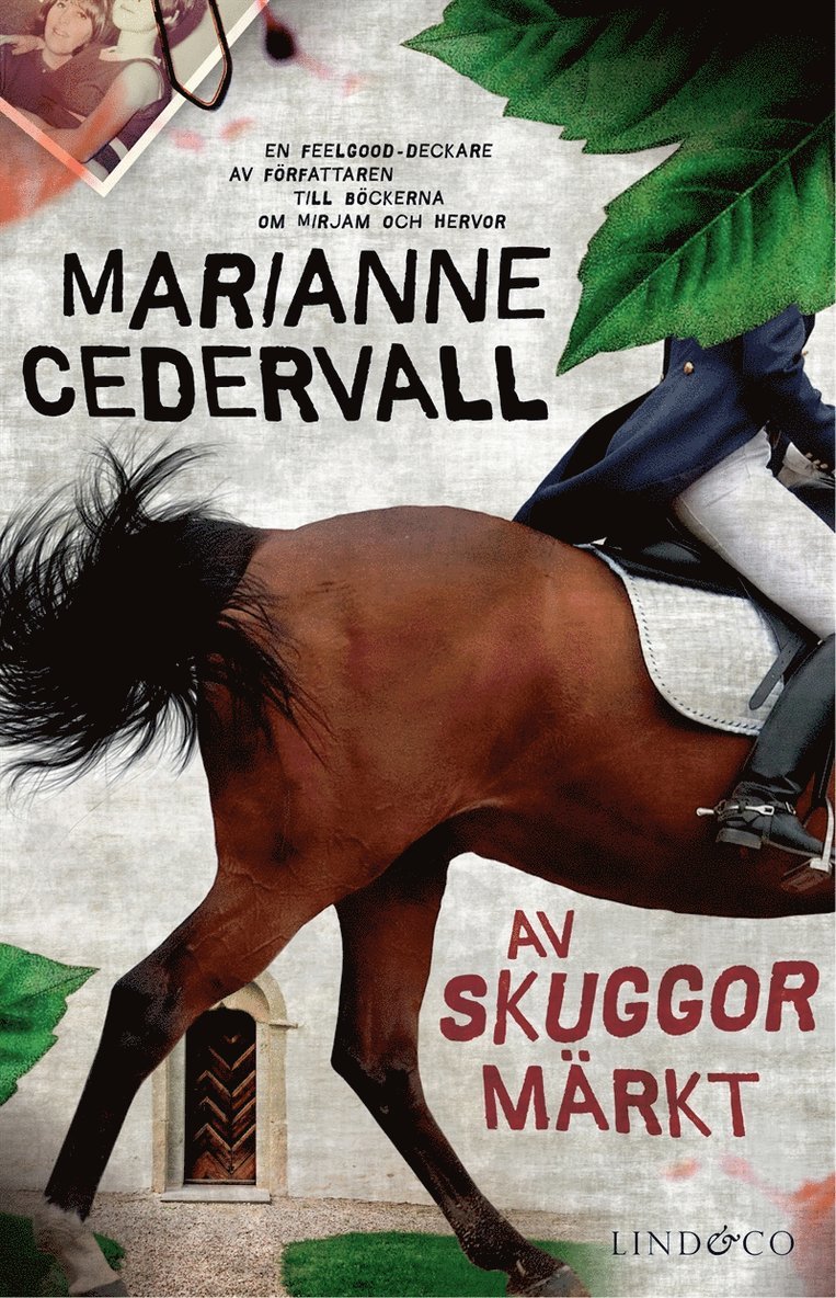 Marianne Cedervall - Av skuggor märkt, E-bok