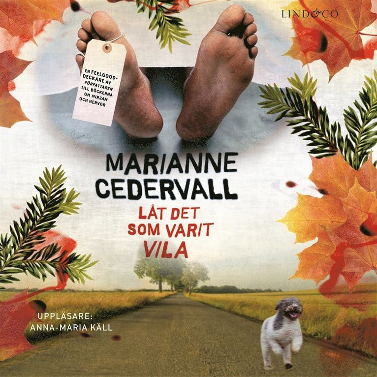 Marianne Cedervall - Låt det som varit vila, Ljudbok
