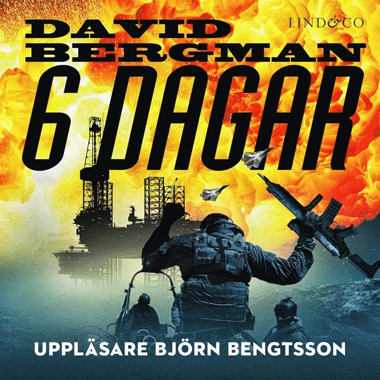David Bergman - 6 dagar, Ljudbok
