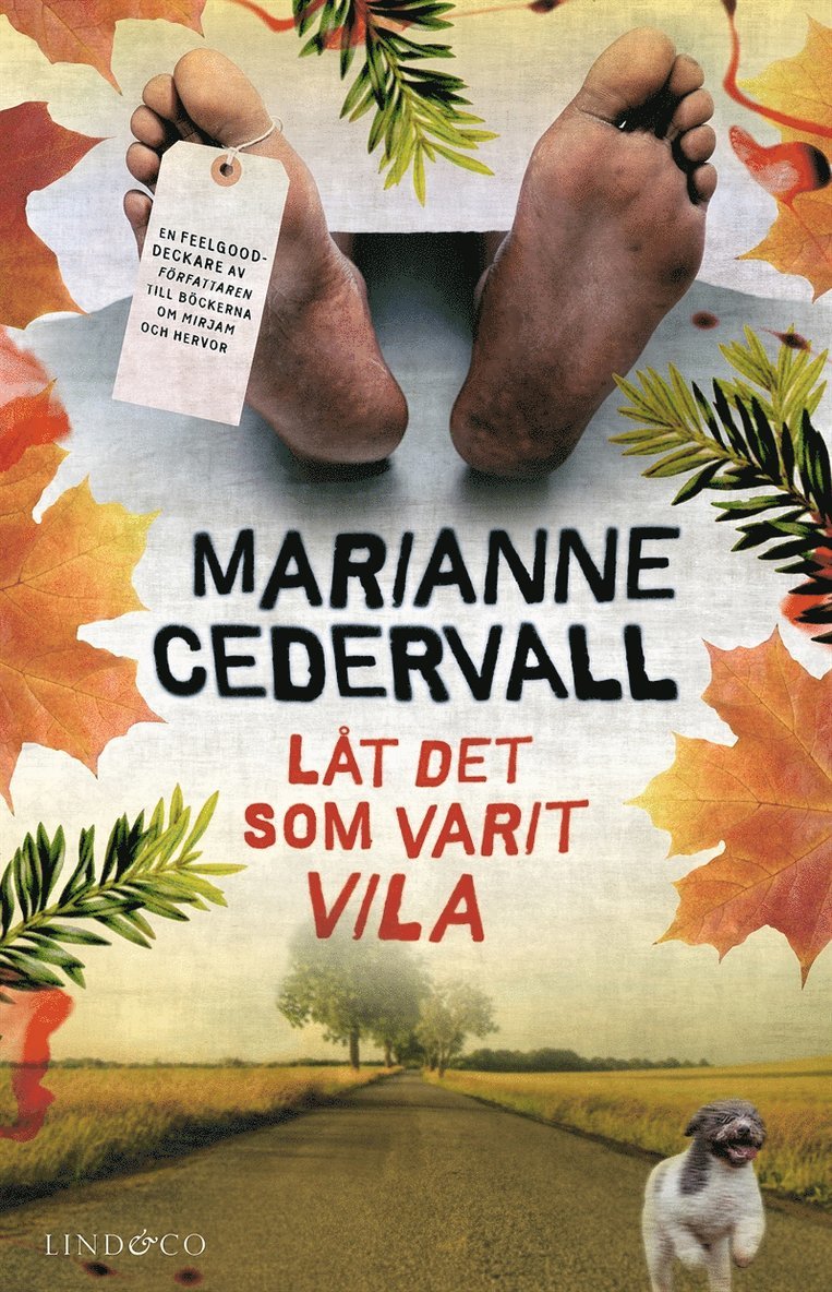 Marianne Cedervall - Låt det som varit vila, E-bok