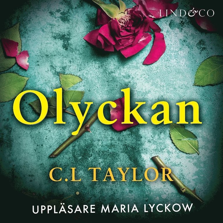 C.L. Taylor - Olyckan, Ljudbok